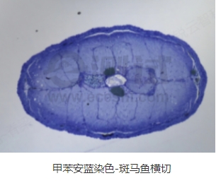 微信截圖_20240719163409