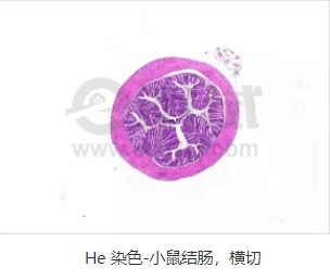 微信截圖_20240719163139