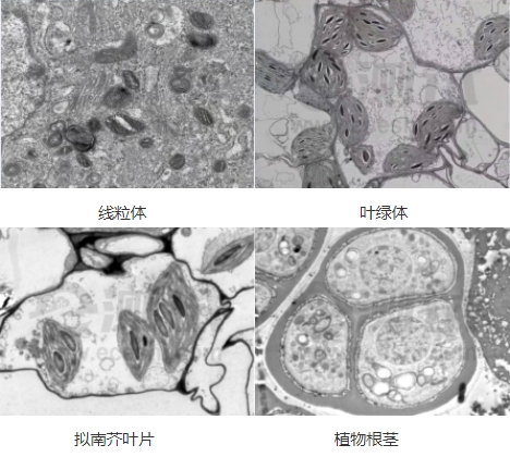 微信截圖_20240719155000 微信截圖_20240719155000
