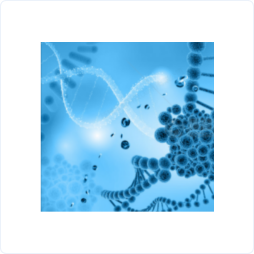 732b9a57971ac6cb1a917986ba1284ed_4262c7c399a2608.png