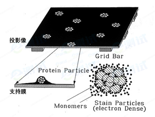 微信截圖_20241128134227