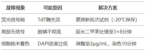 微信截圖_20250417151808