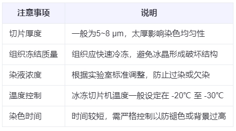 微信截圖_20250613143803