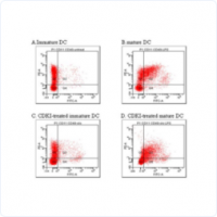 流式細胞分析儀（Flow Cytometry）